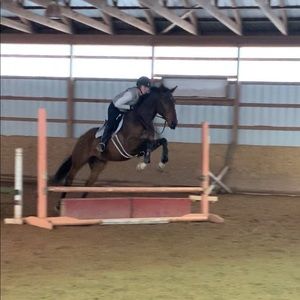 Meet your Posher, Kristen